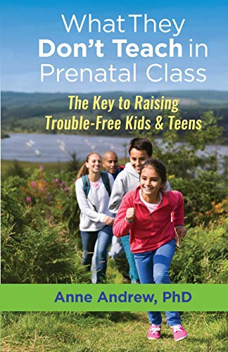 WhatThey Don&rsquo;t Teach in Prenatal Class: The Key to Raising  Trouble-Free Kids & Teens